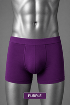 Anti-Chafe Bamboo Viscose Cool Boxer Briefs for Men - Pack of 5